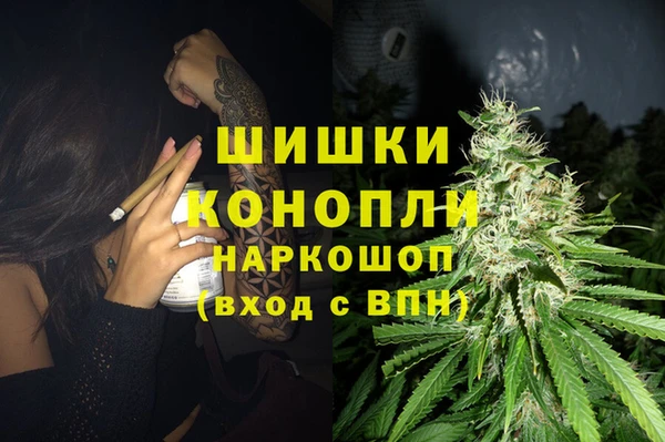 PSILOCYBIN Абдулино