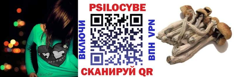 KRAKEN как зайти  Североморск  Галлюциногенные грибы прущие грибы 